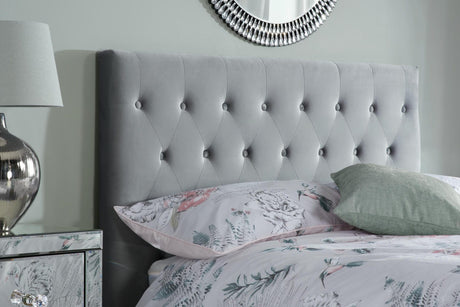 Cologne - Upholstered Button Fabric Bed - Bickfords